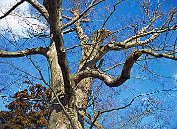 《消逝的光芒：困兽》室内下雨的问题已经被修复了