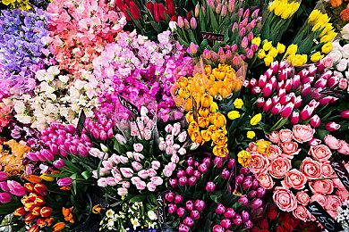 《祇：女神之道》已正式发售 Steam版售价248元